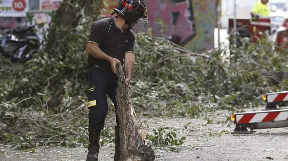 Cae otra rama de árbol en Madrid golpeando varios coches