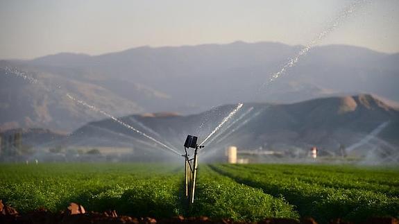 Nace una aceleradora para proyectos de I+D agrícola
