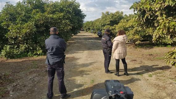 Dos muertos en un accidente de avioneta en el aeródromo de Vélez-Málaga