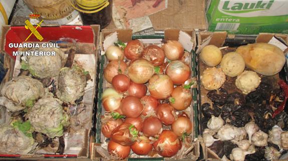 Detenido en Toledo por traficar con productos donados al Banco de Alimentos