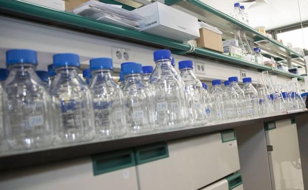 mejores juguetes de próstata por menos de 50 años mejores juguetes de próstata por menos de 50 años
