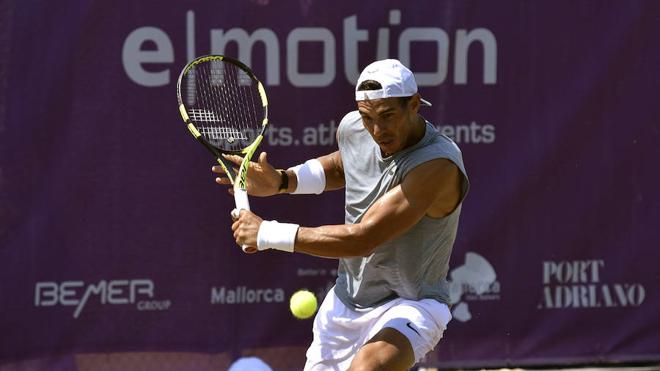 «Federer es el máximo favorito en Wimbledon»