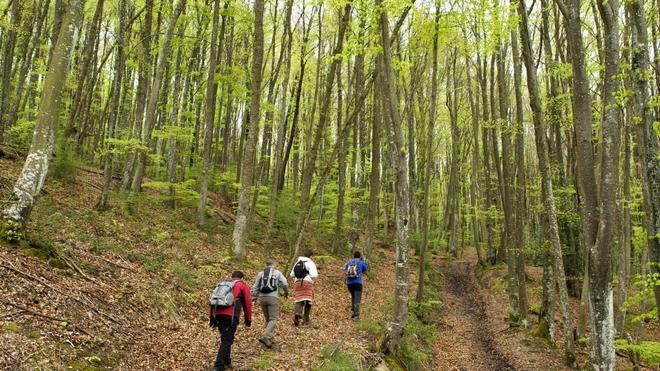 PP, PSE y Bildu ven "inaceptable" que el Gobierno vasco dé "marcha atrás" con los Montes de Vitoria