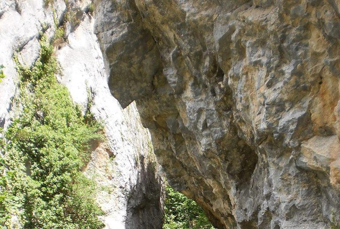 Paseo veraniego por la senda del río Purón