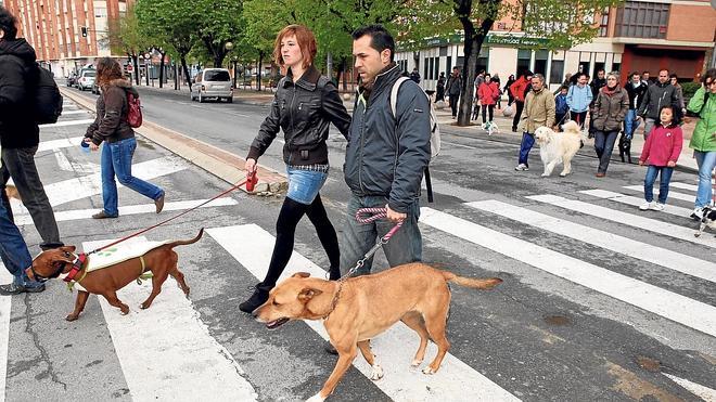 Logroño contará con seis nuevas parcelas para poder soltar a los perros sin límite horario