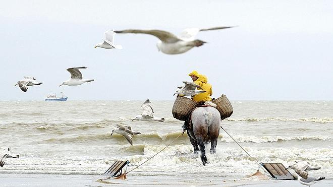 Arar el océano a caballo