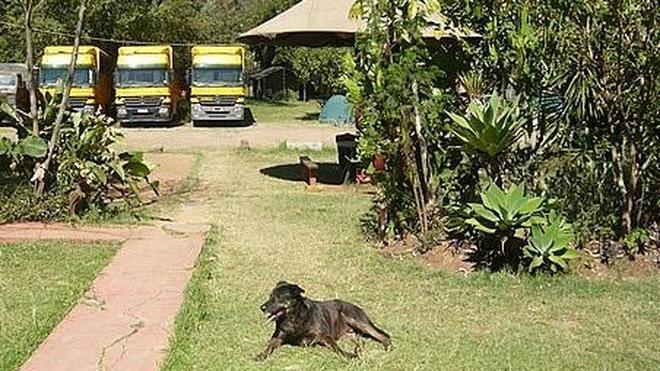 Los perros devorados de Nairobi