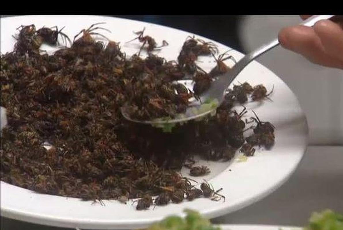 Arañas y alacranes en el menú del día