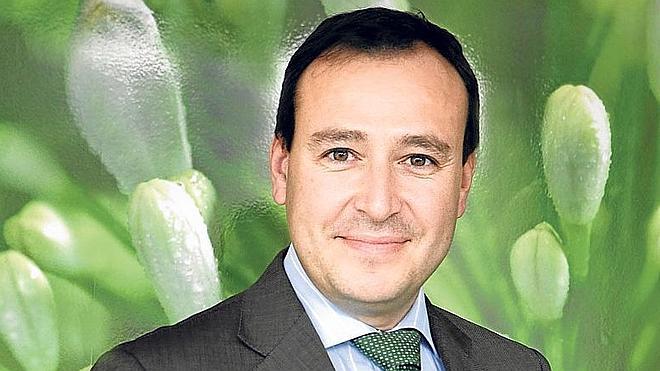 A vista de 'aracnocóptero'