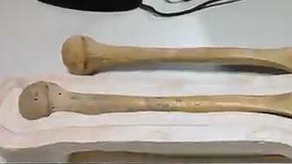 El resto humano más antiguo hallado en Euskadi