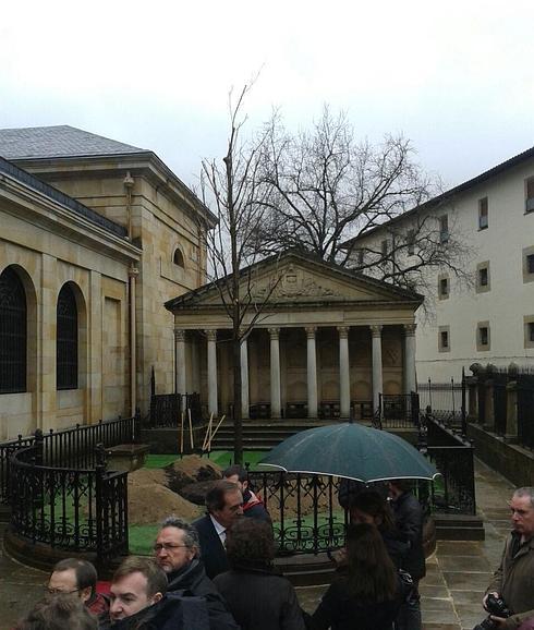 El Árbol de Gernika ya echa nuevas raíces