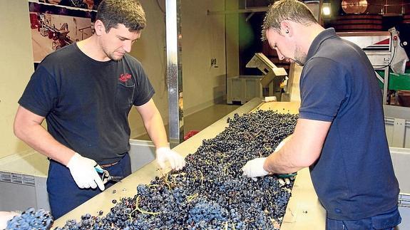 El mercado laboral vasco es más estable que el español, pese a firmar menos contratos fijos