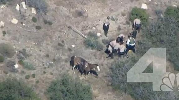 Brutal paliza de 11 policías a un joven negro en California