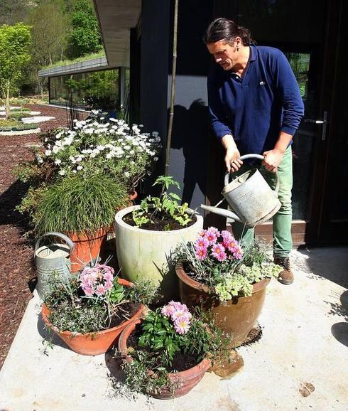 Los tomates de mi terraza