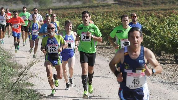 La Rioja Alavesa tendrá su propia Media Maratón
