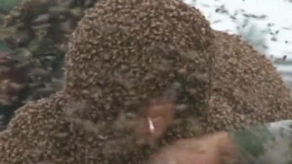 Un millón de abejas en el cuerpo de un hombre