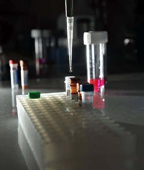 Las pruebas de ADN se disparan en Euskadi: "Quiero saber quién fue mi padre"