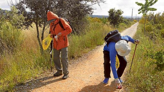 100.000 bolsas de basura para conservar el Camino