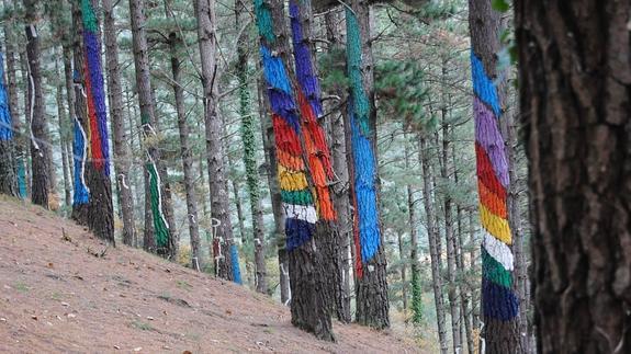 Omako basoa ezagutzeko bisita gidatuak irailaren 6ra arte eskainiko dira