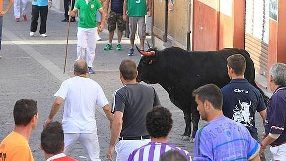 Fallece un vasco por una cornada en el corazón durante un encierro en Segovia