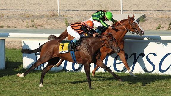 El maltrato animal lleva a la cárcel a un español por primera vez a causa de «una aberración»