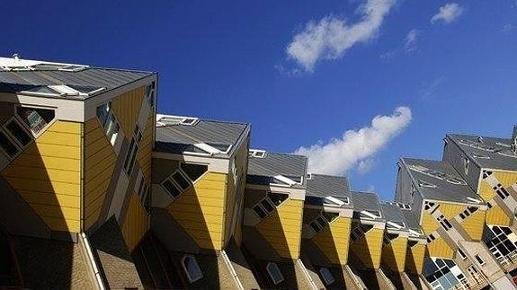 Rotterdam y La Haya, contrastes holandeses