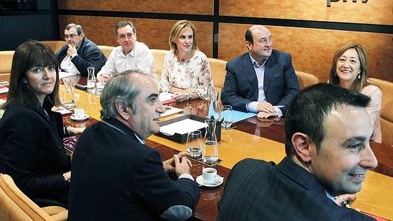 La reforma institucional del PSE, paralizada en el Parlamento por el recurso de Bizkaia