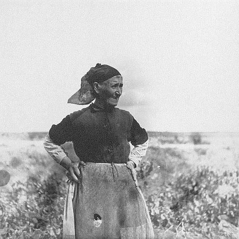 Campesina en el camino entre Madrid y Alcala de Henares en un viñedo en 1937./