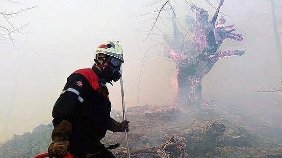 Un herido con pronóstico reservado durante las tareas de extinción del incendio de Arantza