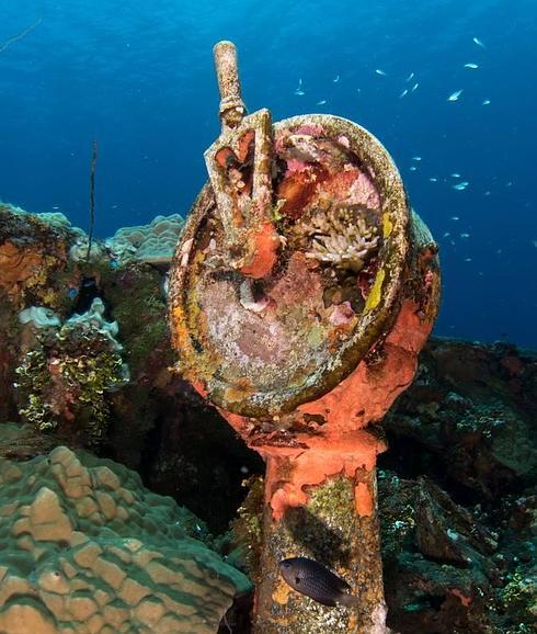 La tumba de los imperios