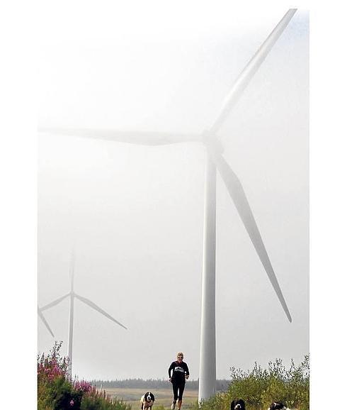 La compra de Gamesa por Siemens, un mal negocio para la industria vasca