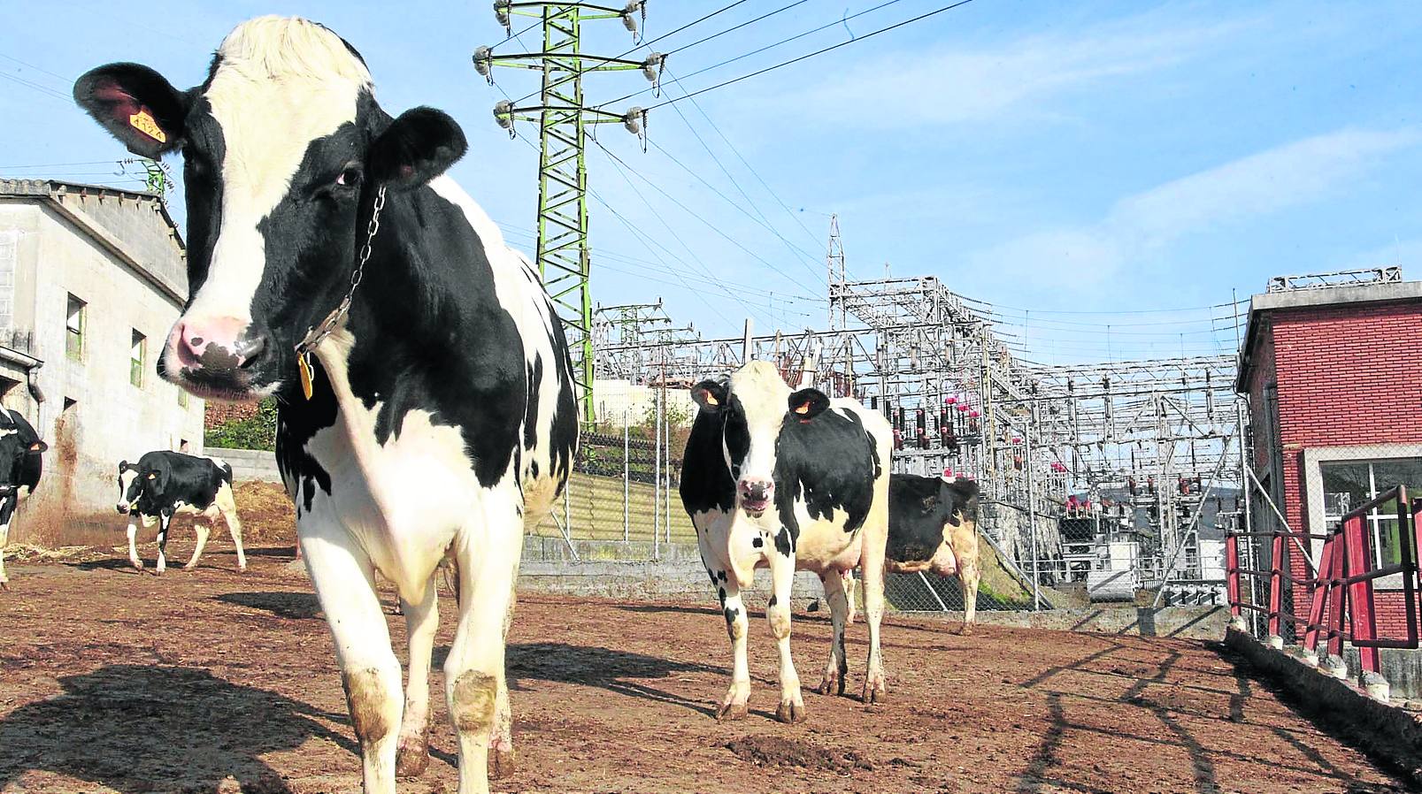 «Vivimos como en Auschwitz, rodeados por un vallado eléctrico»