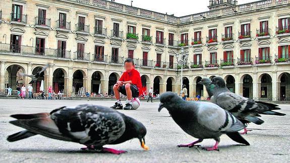 El Ayuntamiento admite que tiene «un problema importante» con las palomas