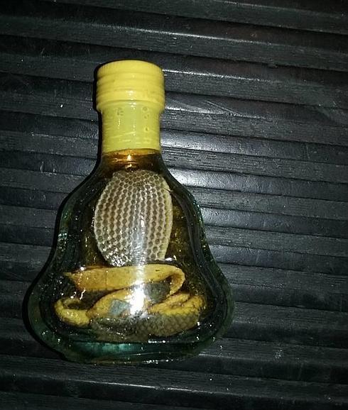 Cobras en botellas, cabezas de caimán o una tórtola viva, el 'equipaje' ilegal incautado en Loiu