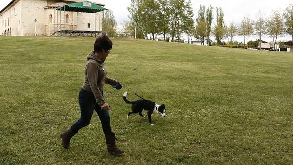 La Policía Local busca veneno en los trozos de carne recogidos en tres parques de Vitoria