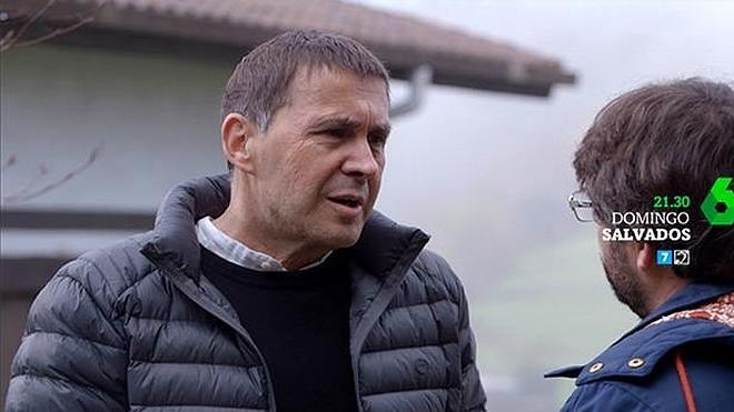 Otegi asume el mando en EH Bildu