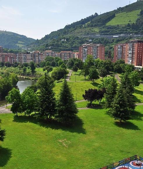 Abusu auzoko Ibaieder parkean zuhaitzei buruzko azalpenak emateko plakak jarriko dira