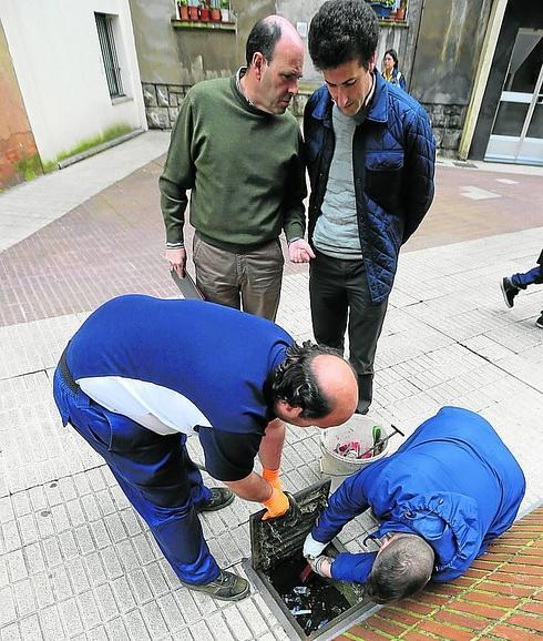 Una campaña intensiva reducirá un 30% la presencia de ratas en Barakaldo