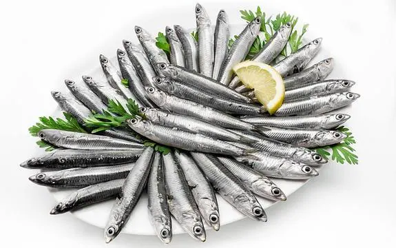 La anchoa, una mina de placeres gastronómicos