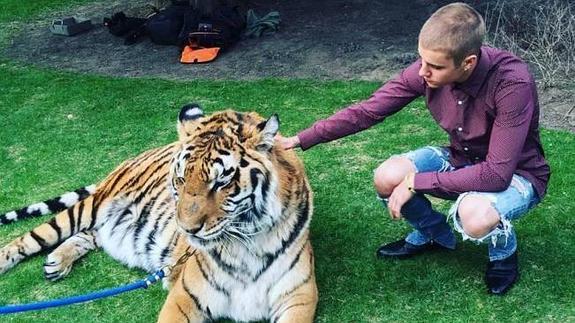 Justin Bieber hace el tigre