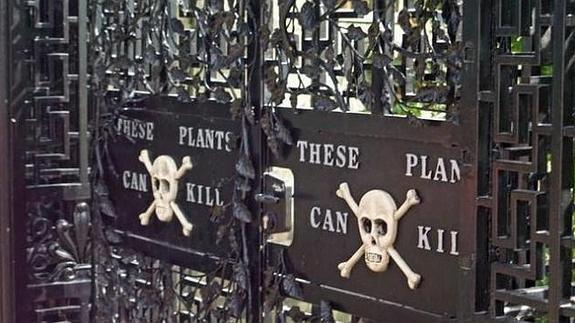 Estas son cinco de las atracciones turísticas más mortales del mundo