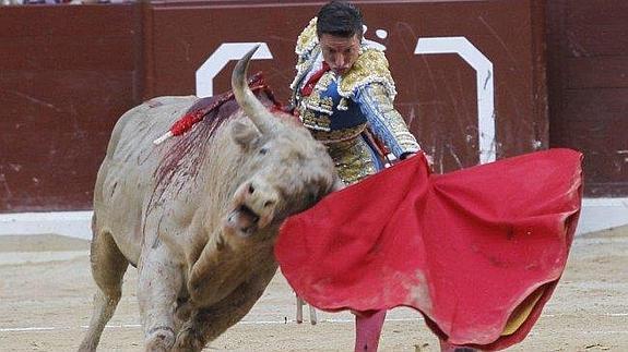 La feria de La Blanca volverá a tener tres festejos, con Urdiales y Hermoso de Mendoza