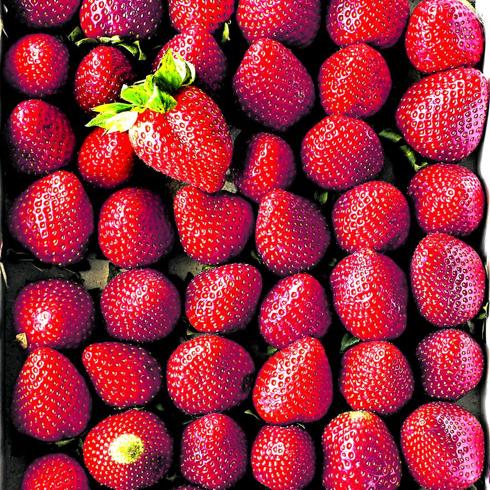 ¿A qué sabe el verano? Gustos para todos los gustos