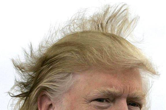 ¿Un pelo de tontos?