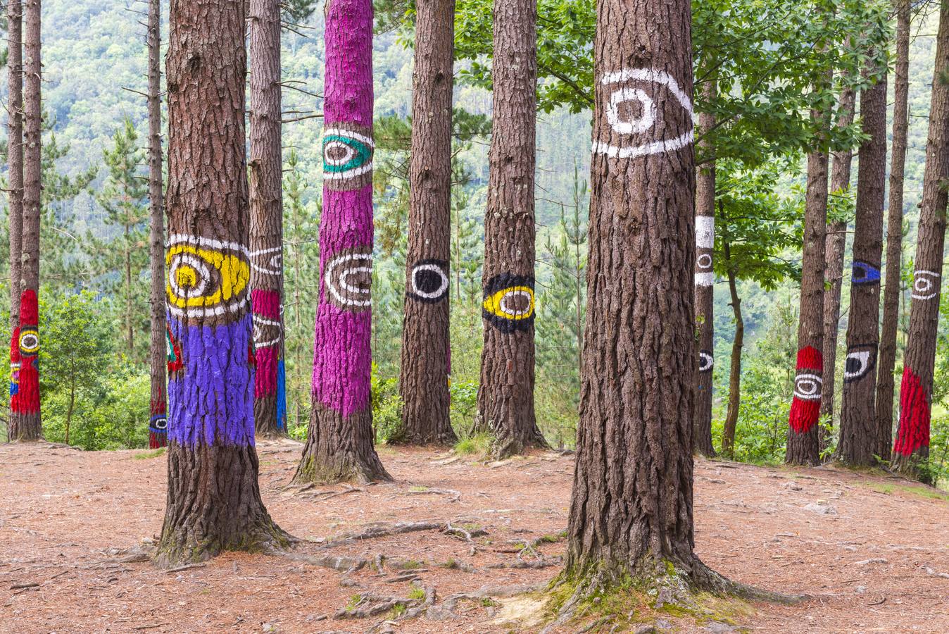 Mundaka Festival, visitas guiadas al Bosque de Oma y mercado bohemio