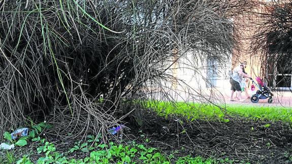 «Si alguien dice que Vitoria está sucia, que lo demuestre», dice el edil de Medio Ambiente