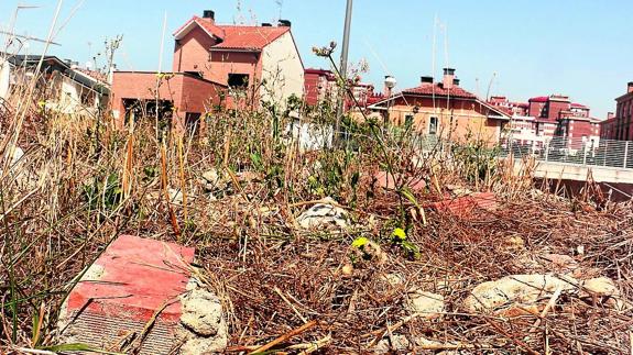 Asociaciones vecinales piden a Prusilla que «salga a la calle a ver la falta de limpieza»