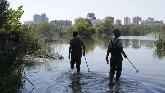 Los guardas no hallan aves muertas en el segundo día de vigilancia de estanques de Vitoria