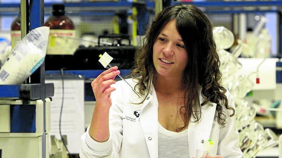 Los grados de Salud, Deporte y Educación, los de mayor tirón en el campus de Álava