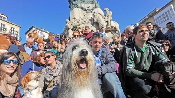 El Ayuntamiento niega el envenenamiento de perros en Vitoria